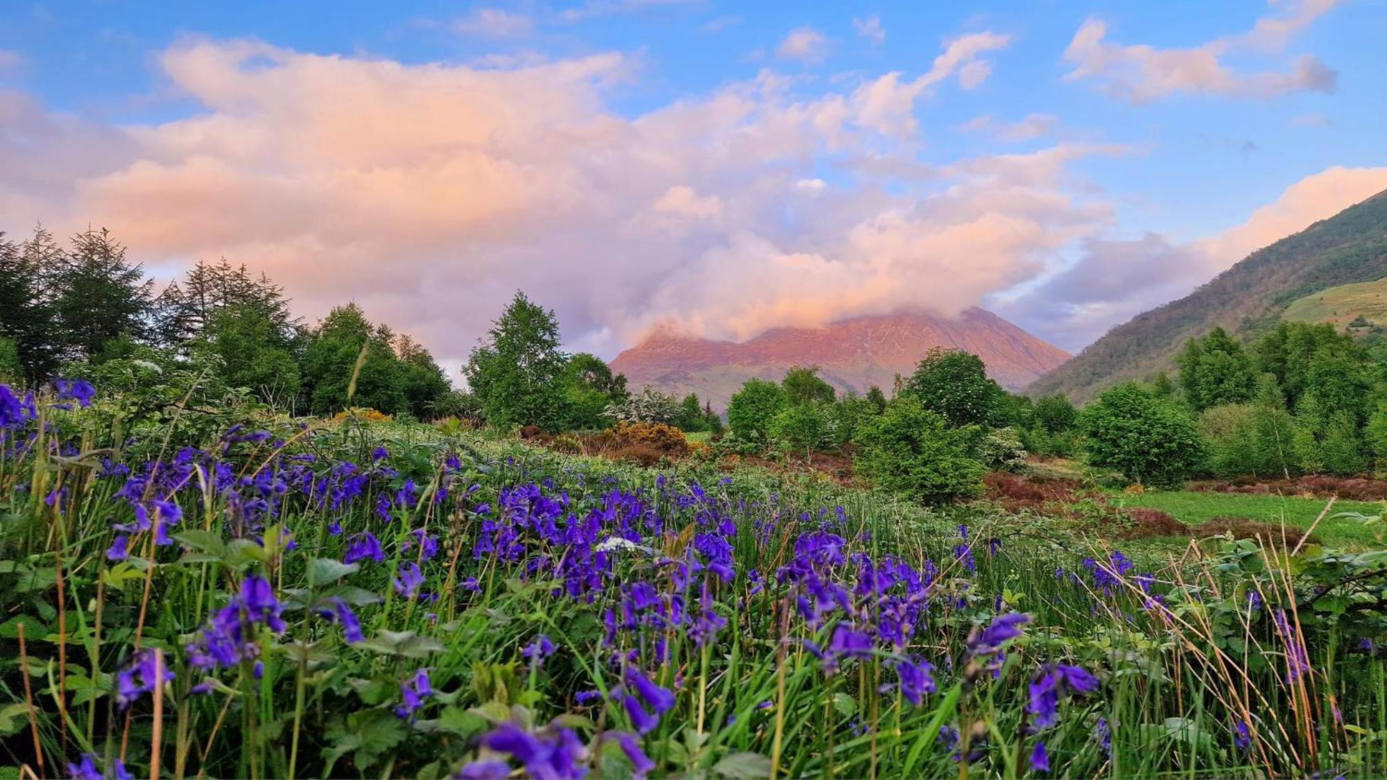 Bothan Creag Sobhrag Ballachulish Exterior foto